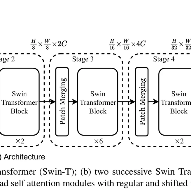 Swin-Transformer for cifar-100 classification